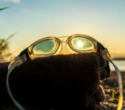 Swim Goggles